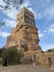 عاصم طاهر