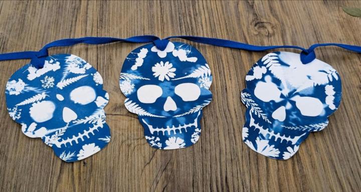 Cyanotype with Click Happy