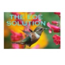 EoE Solution