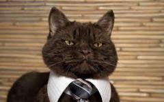 Rafael Zavaleta Melendez