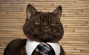 Rafael Zavaleta Melendez