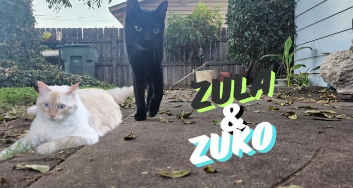 Zuko & Zula