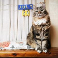 July Frescas