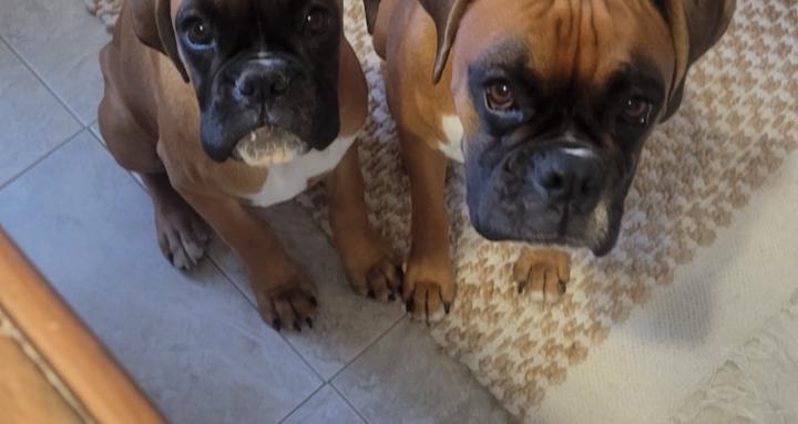 The Littlest Of These