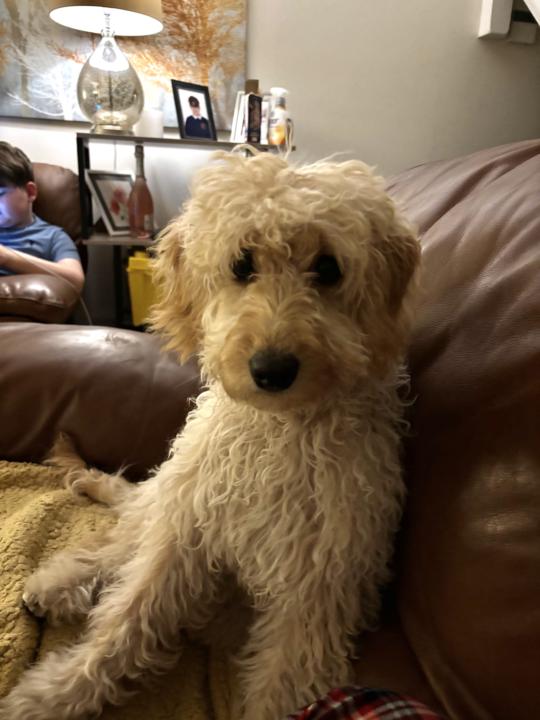 Just for fun and cuteness 