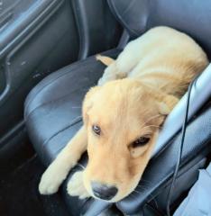 María José Grancelli