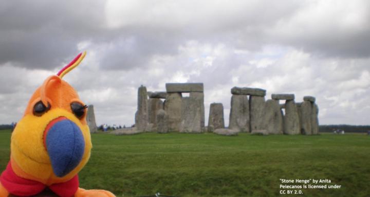 The Accidental Druid