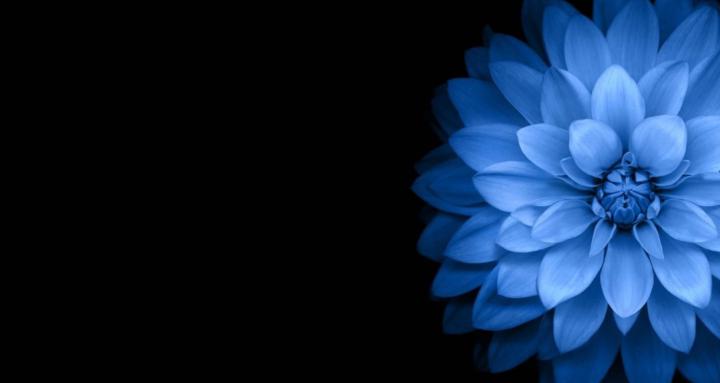 Nonduality Sharing Group