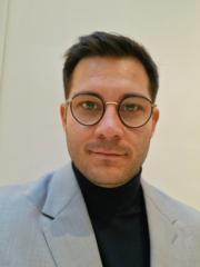 Chis Sergiu Ionut