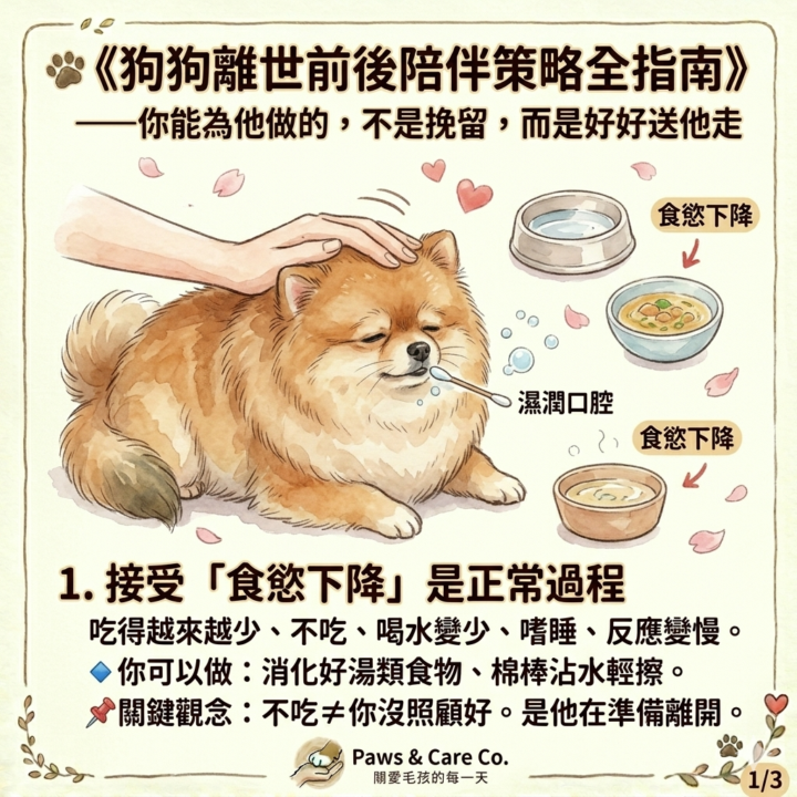 🐾《狗狗離世前後陪伴策略全指南》