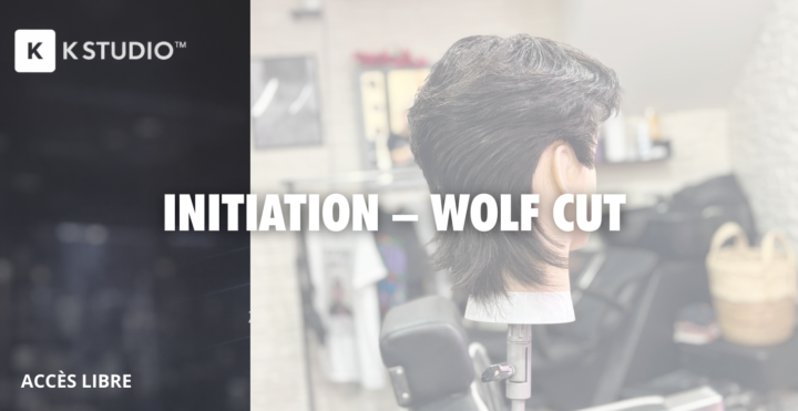 🔥 Wolf Cut – Le schéma de coupe 