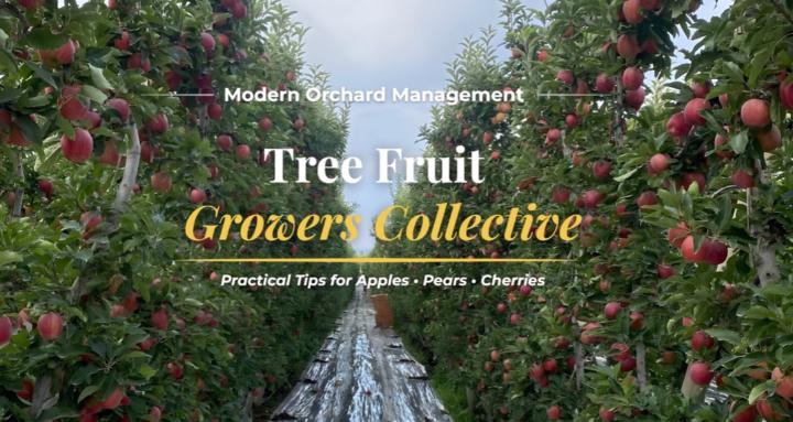 Tree Fruit Growers Collective