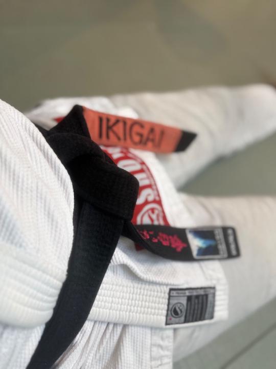 Thevenaud Louis-jean