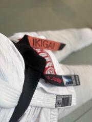 Thevenaud Louis-jean