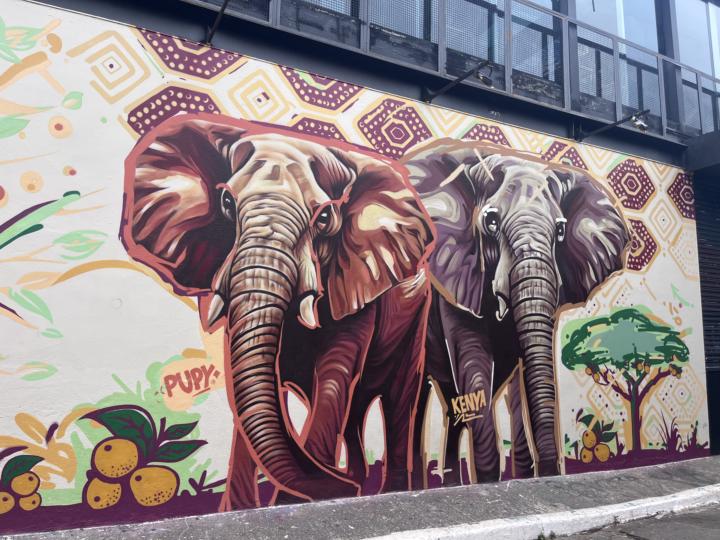 Buenos Aires & Sao Paulo & Miami Streetart