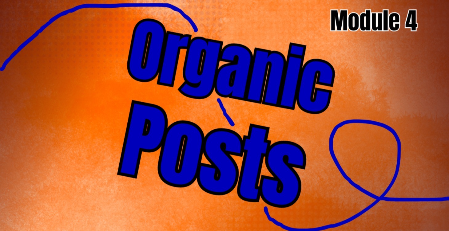 Module 4 - What to Post and When to Post It