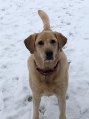 Mary Jane McLaughlin