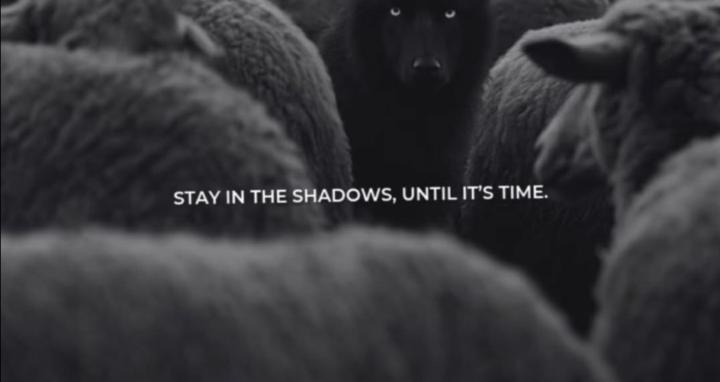 Lone Wolf Society