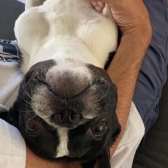 Sergio Damian Pucheta