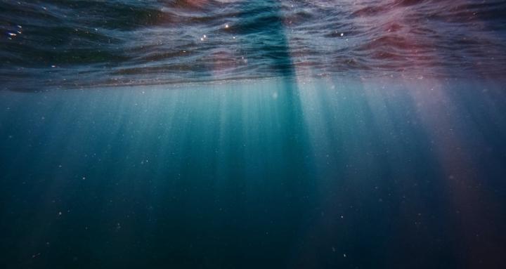 Fiction Writers Collective 