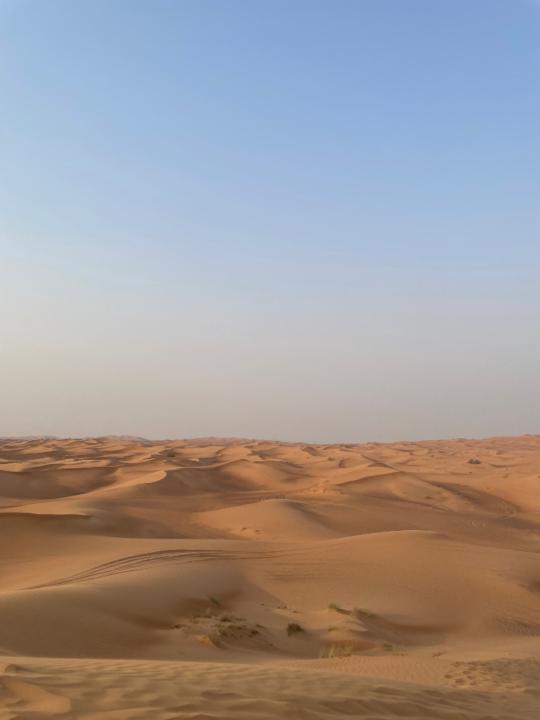 Balqiisa Hashi