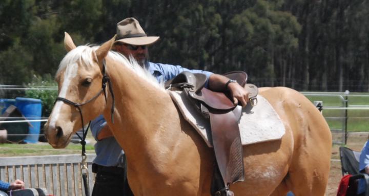 Steve Brinkworth Horsemanship