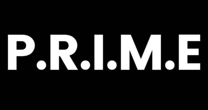 P.R.I.M.E group