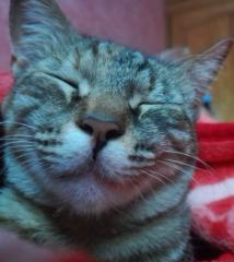 Oussama El manssouri