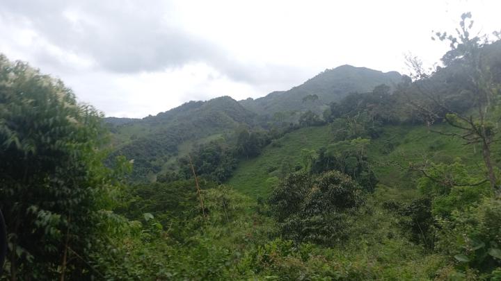 Liceth Yohanna