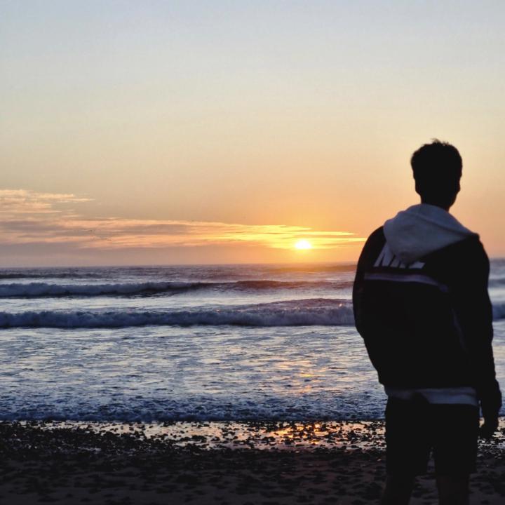 Nicolas Peña Alvarez