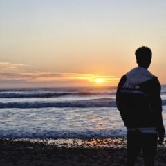 Nicolas Peña Alvarez