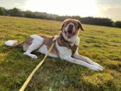 Christiane Holmes Reichardt