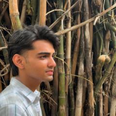 Viraj Thote