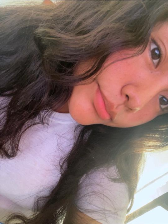 Anayeli Quispe alca