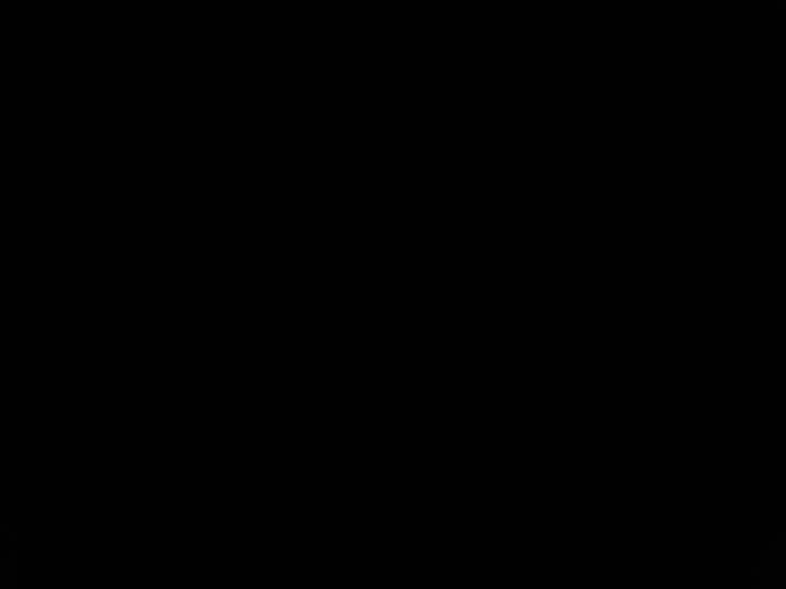 Zev Zryl