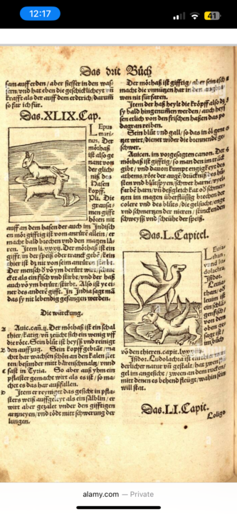 Assistance with Interpretation?
