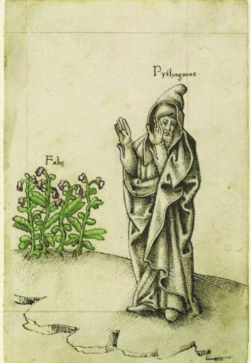 Pythagoras: Beans contained spirits of the dead