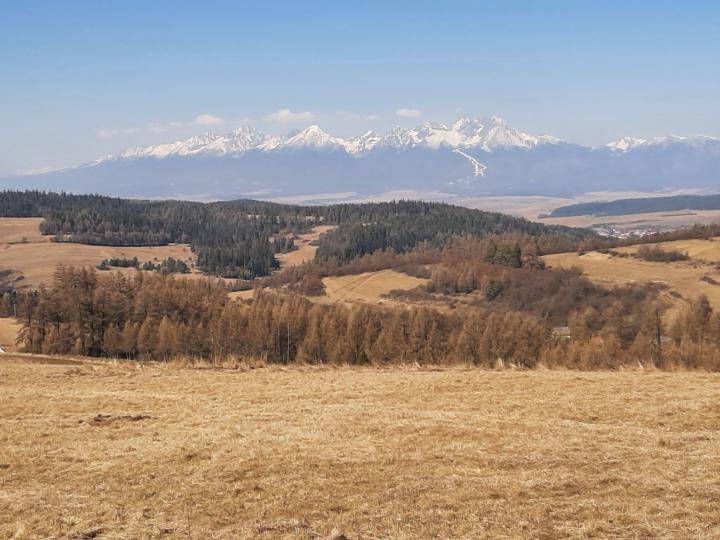 Bohuslav Ogurcak
