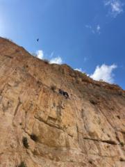 Z בוגר יחידת שלדג