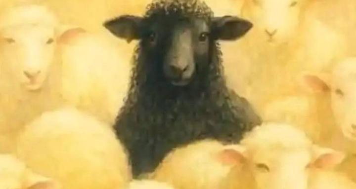 The ART of letting go of Shit