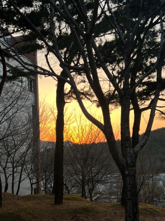 Telmen Tserenrogtokh