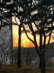 Telmen Tserenrogtokh