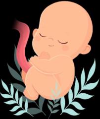 Quỳnh cua ngu Ngọc