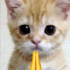 Ananda Firdaus