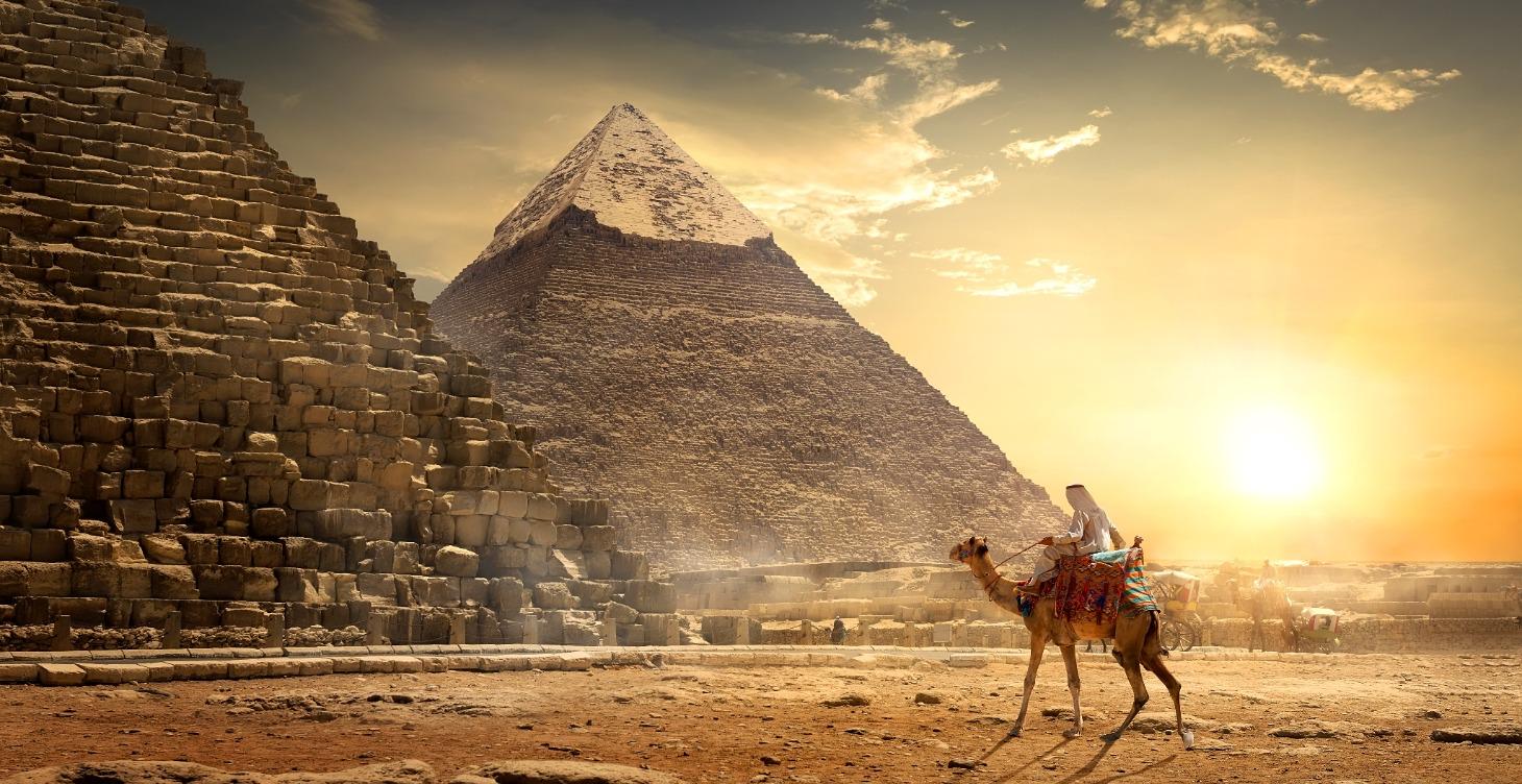 The Basics of Your CRM