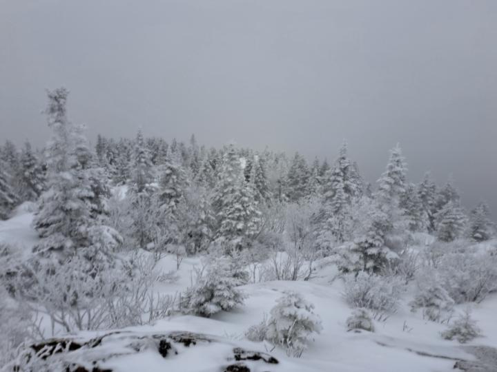 Sonia Gauvreau Nadeau