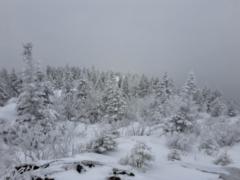 Sonia Gauvreau Nadeau