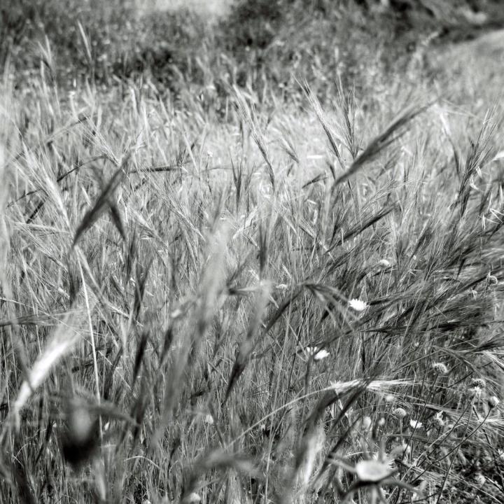 Panagiotis Christias