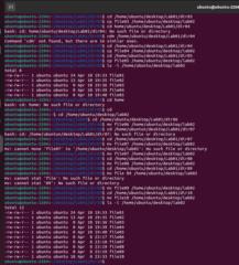 Michael Picado Avellan