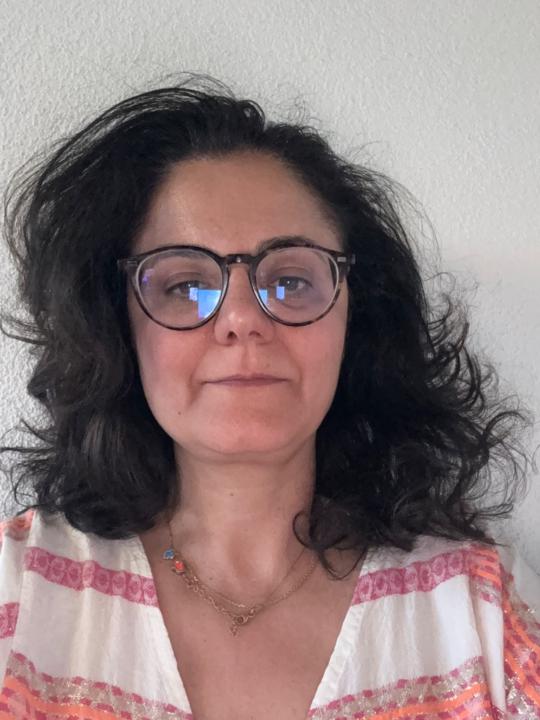 Negar Shafaeddin